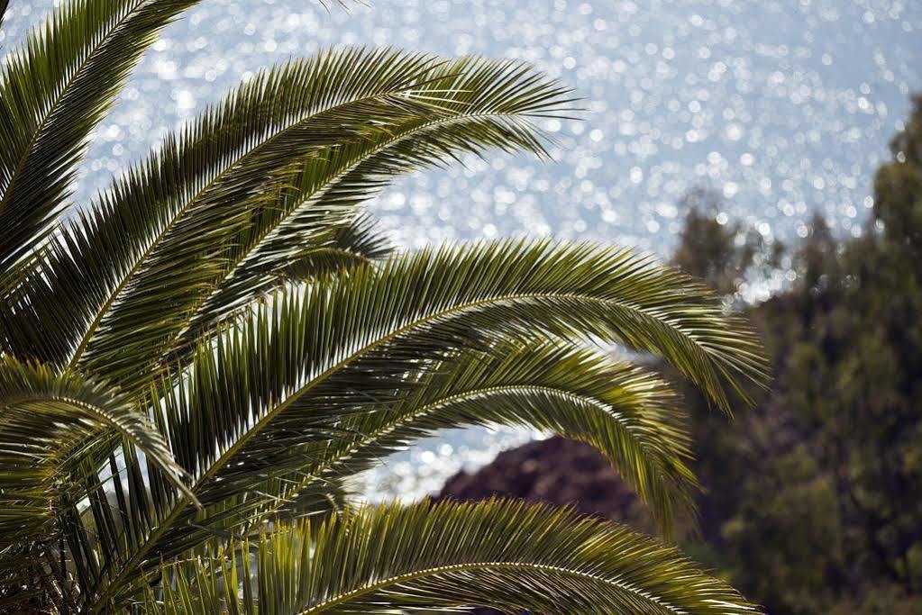 Tiara Yaktsa Côte d’Azur Hotel Theoule-sur-Mer Bagian luar foto